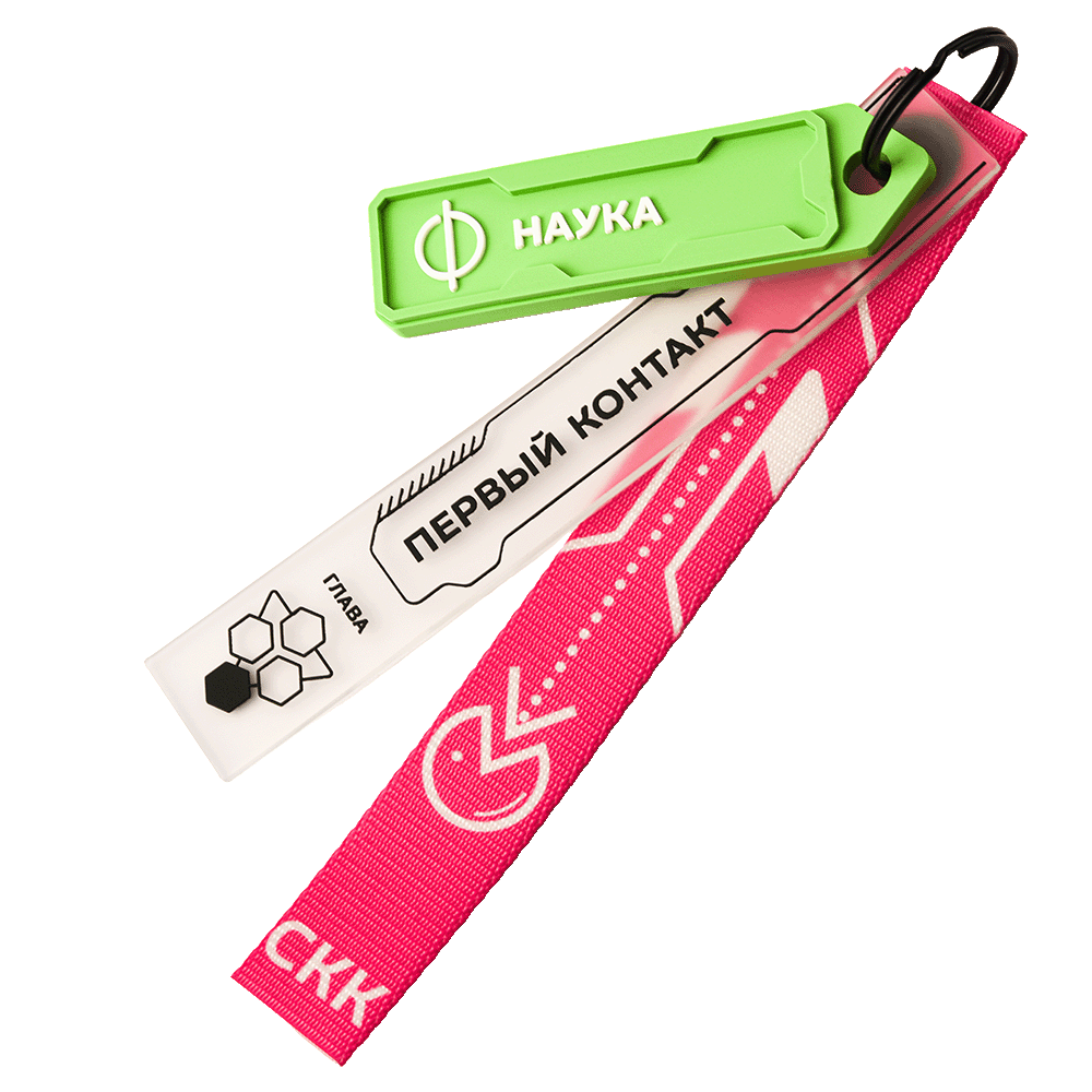 Ремувки ПВХ для детского лагеря — Вид печати:Сублимация — Материал: Стропа — Ремувки на заказ